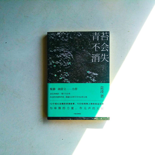青苔不會消失 青苔不會消失