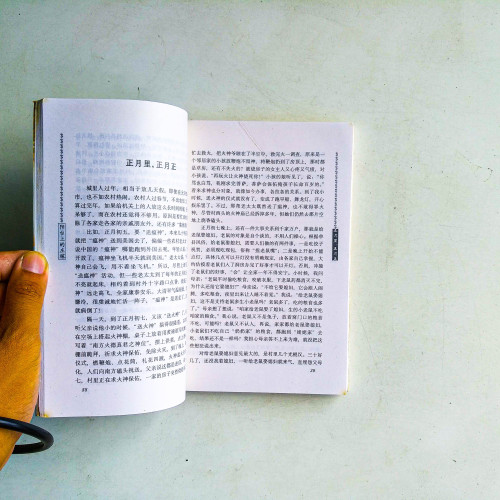 陽台上的莊稼 陽台上的莊稼