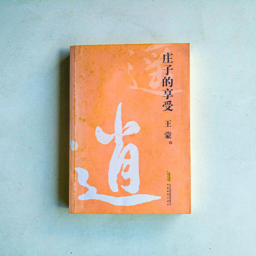 莊子的享受 莊子的享受