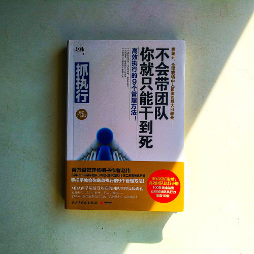 抓執行：不會帶團隊，你就只能干到死