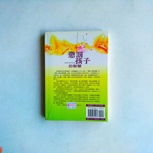 懲罰孩子的智慧:給孩子一個人性的批評與懲罰 懲罰孩子的智慧:給孩子一個人性的批評與懲罰