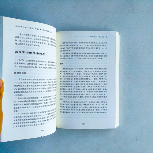 從出生到3歲:嬰幼兒能力發展與早期教育權威指南 從出生到3歲:嬰幼兒能力發展與早期教育權威指南