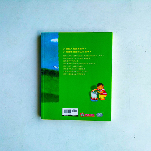 地球的孩子5:青草茶的滋味 地球的孩子5:青草茶的滋味