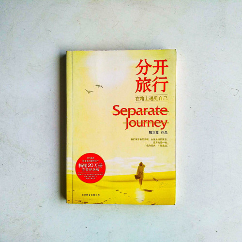 分開旅行:在路上遇見自己 分開旅行:在路上遇見自己