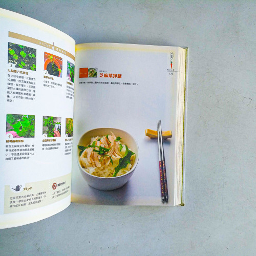 在家種菜就是那麼簡單 在家種菜就是那麼簡單