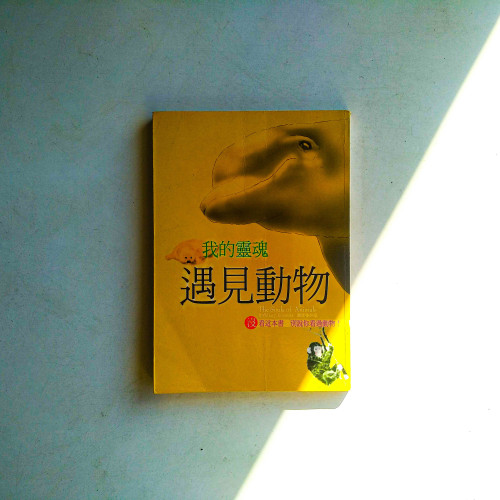 我的靈魂遇見動物 我的靈魂遇見動物