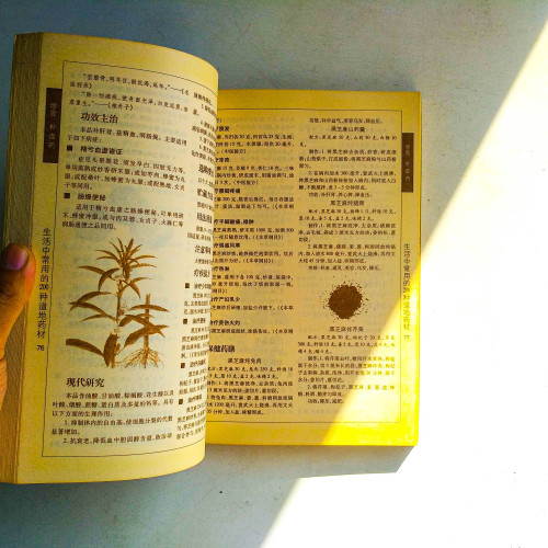 【圖解】生活中常用的200道地藥材