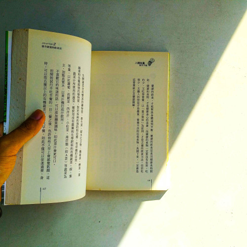 人體能量提升手冊
