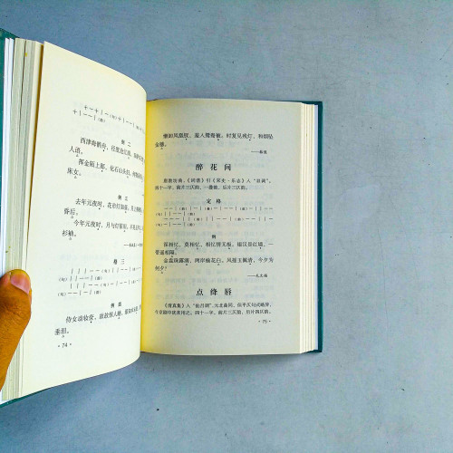 唐宋詞格律:龍榆生詞學四種 唐宋詞格律:龍榆生詞學四種