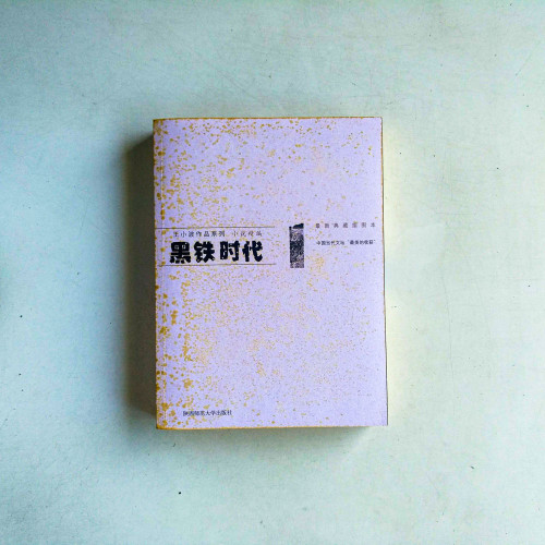 王小波作品系列:黑鐵時代 王小波作品系列:黑鐵時代