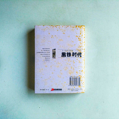 王小波作品系列:黑鐵時代 王小波作品系列:黑鐵時代