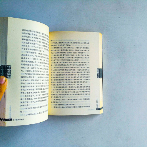王小波作品系列:黑鐵時代 王小波作品系列:黑鐵時代