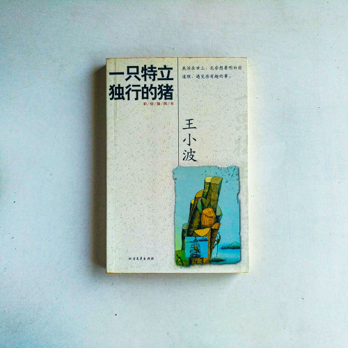 王小波作品系列:一隻特立獨行的豬 王小波作品系列:一隻特立獨行的豬