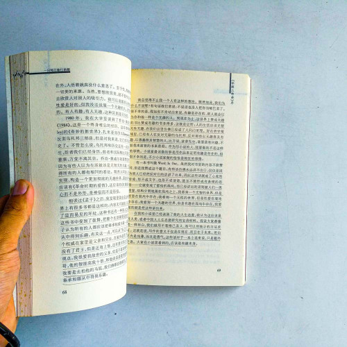 王小波作品系列:一隻特立獨行的豬 王小波作品系列:一隻特立獨行的豬