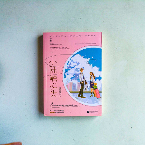 小陸觸心頭 小陸觸心頭