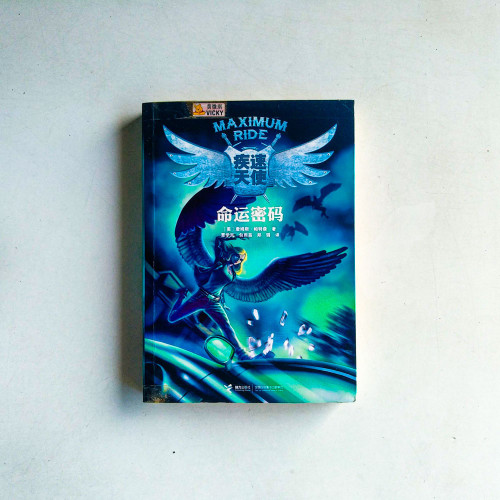 疾速天使·第二部:命運密碼 疾速天使·第二部:命運密碼