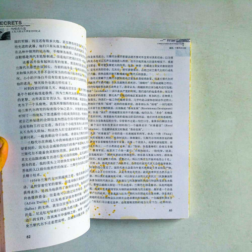 吹哨者自述:五角大樓文件洩密者回憶錄 吹哨者自述:五角大樓文件洩密者回憶錄
