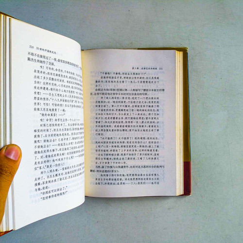 20世紀中國性文化 20世紀中國性文化