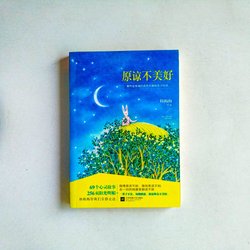 原諒不美好:那些需要我們看得開和放得下的事 原諒不美好:那些需要我們看得開和放得下的事