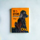 我ㄉ巴弟：西班牙長毛垂耳獵犬飼養日記