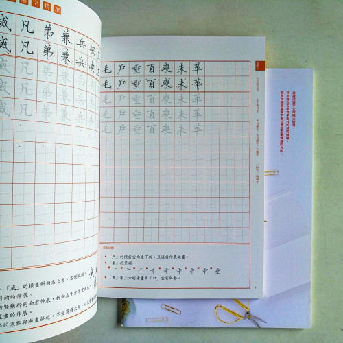 美字進化論2:500楷書常用字+專利斜四線格習字本) 美字進化論2:500楷書常用字+專利斜四線格習字本)