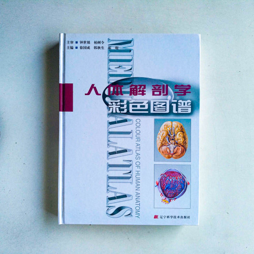 人體解剖學彩色圖譜 人體解剖學彩色圖譜