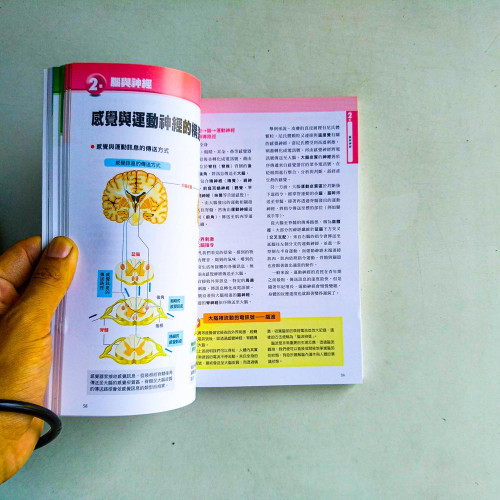 透視人體圖鑑:人體系統全彩導覽手冊,展開釐清人體奧妙的9大章之旅! 透視人體圖鑑:人體系統全彩導覽手冊,展開釐清人體奧妙的9大章之旅!