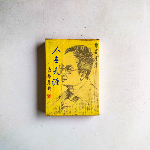 人生天涯
