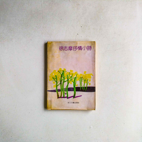徐志摩抒情小詩