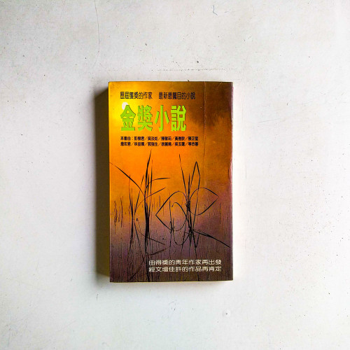 金獎小說