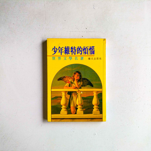 少年維持的煩惱