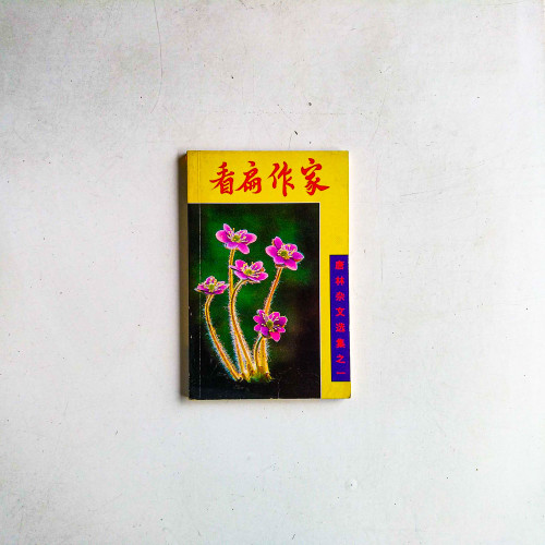 看扁作家