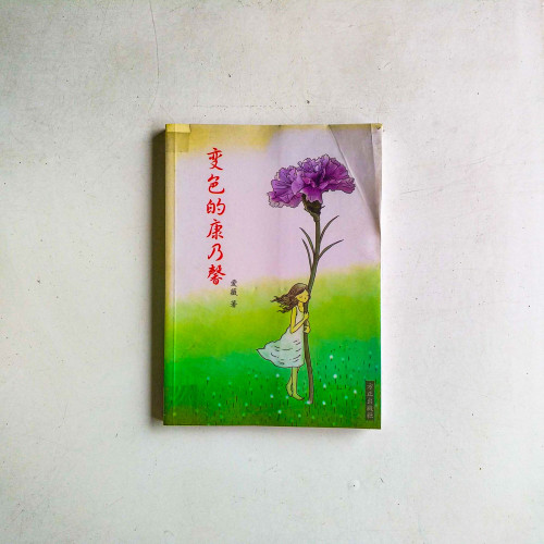 變色的康乃馨