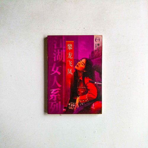 攀龍飛鳳