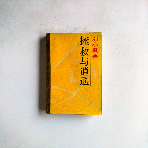 拯救與逍遙