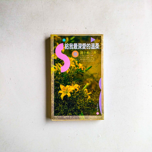 給我最深愛的溫柔