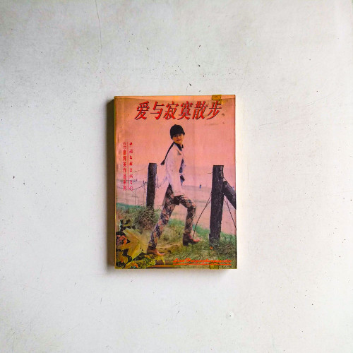 愛與寂寞散步