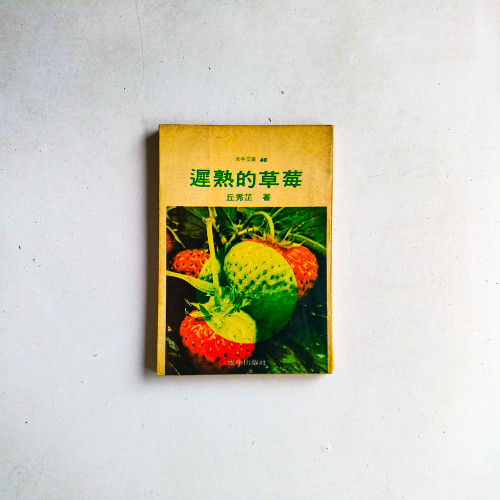 遲熟的草莓