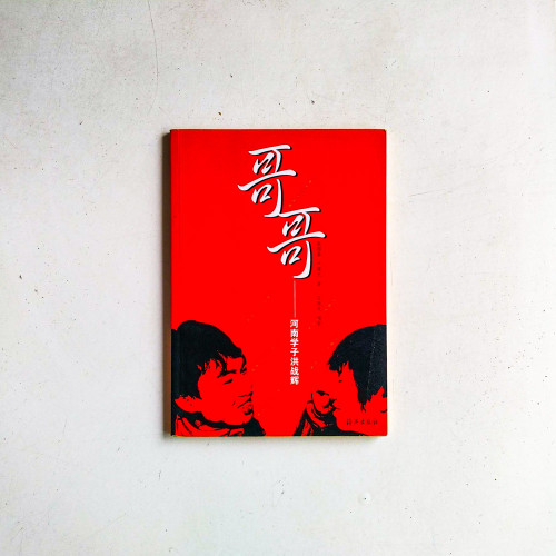 哥哥:河南學子洪戰輝 哥哥:河南學子洪戰輝