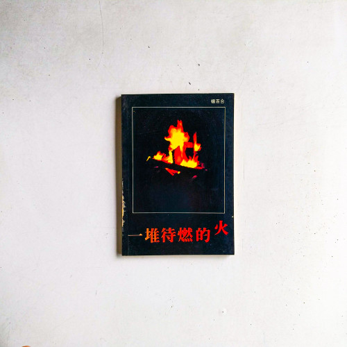 一堆待燃的火