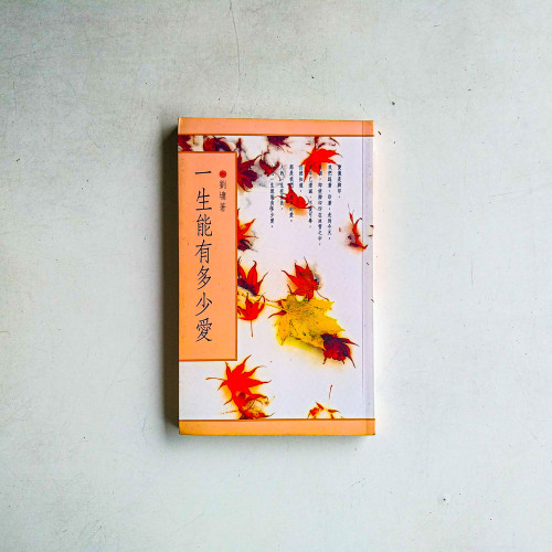 一生能有多少愛