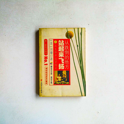 從跌倒的地方站起來飛揚之在生命中追尋的愛 從跌倒的地方站起來飛揚之在生命中追尋的愛