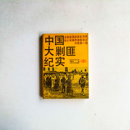 中國大剿匪紀實