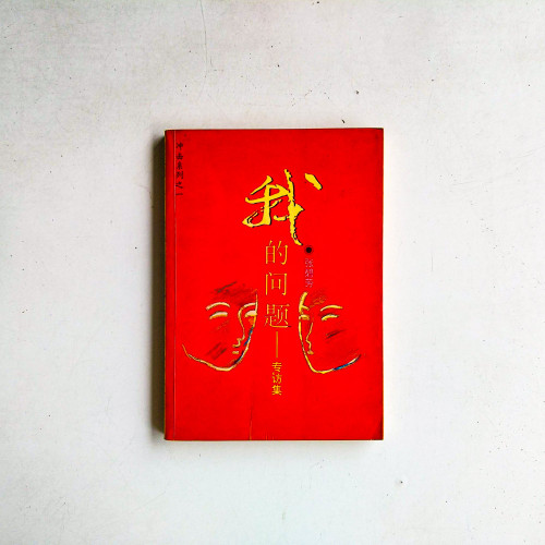 我的問題：專訪集