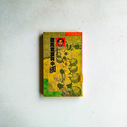 農民意識與中國