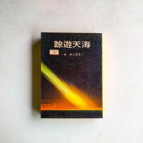 海天遊踪