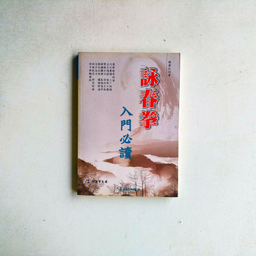 詠春拳：入門必讀