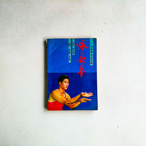 詠春拳