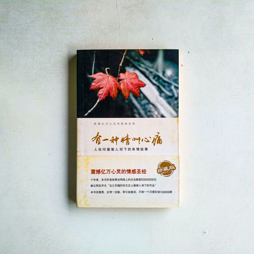 有一種情叫心痛：人世間最催人淚下的親情故事
