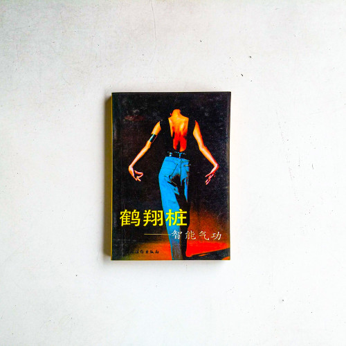 鶴翔樁：智能氣功